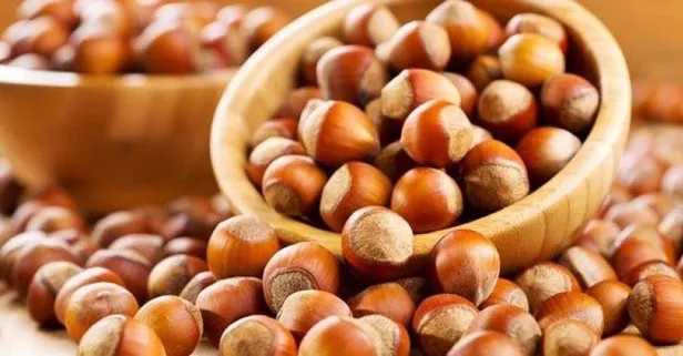 Fındık ye genç kal! Fındığın faydaları nelerdir?