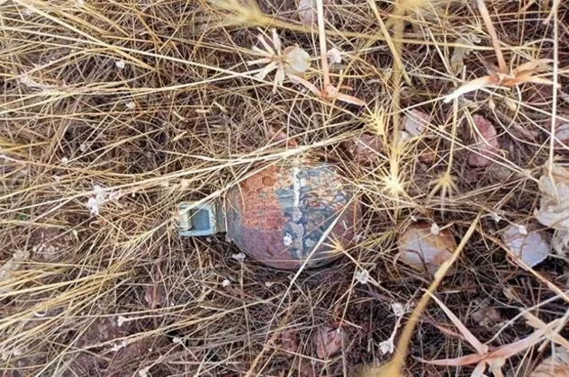 Bingöl'de ele geçirilen el bombası ve mayın imha edildi