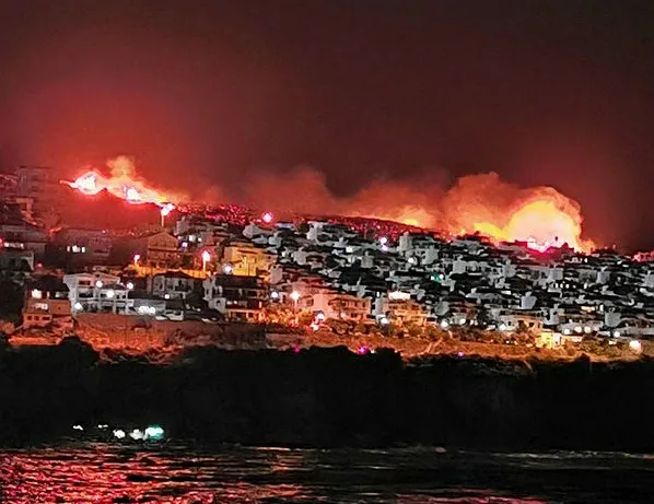 İzmir’de makilik alanda yangın!