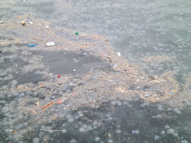 Boğaz’dan içler acısı görüntü! CHP’li İBB müdahale etmeyince kirlilik ayyuka çıktı