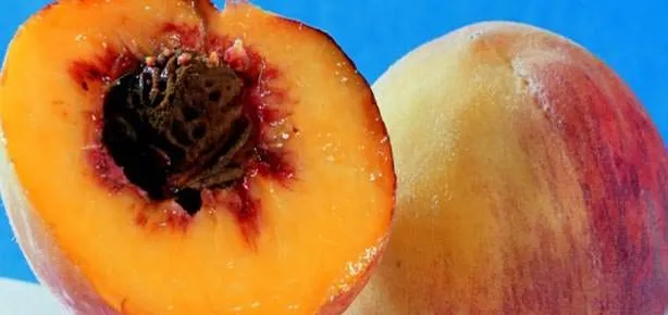 Basura karşı şeftali