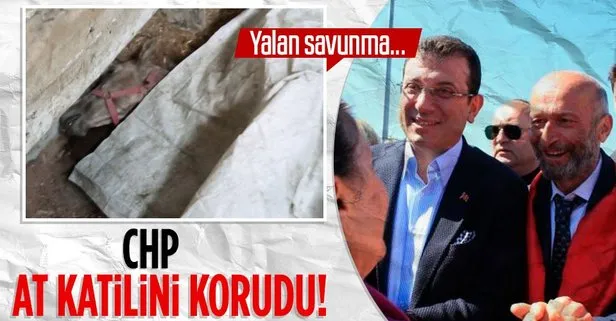 CHP’li İBB’nin kayıp at skandalında, Adalar Belediyesi kayıt dışı ilaç kullanan veteriner Mustafa Ün’ü korumaya devam etti!