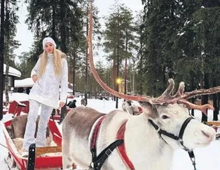 Bir dünya güzellik