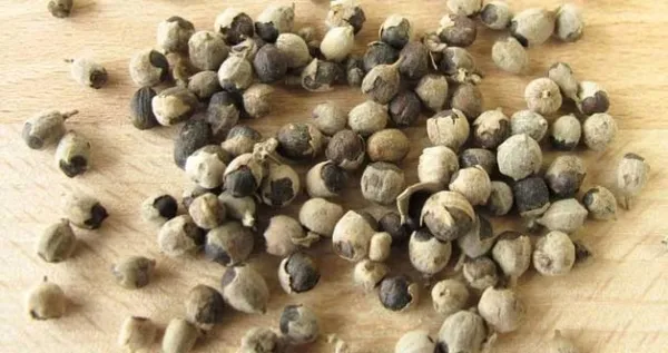 Hayıt otunun faydaları saymakla bitmiyor ama erkekler dikkatli tüketmeli-4