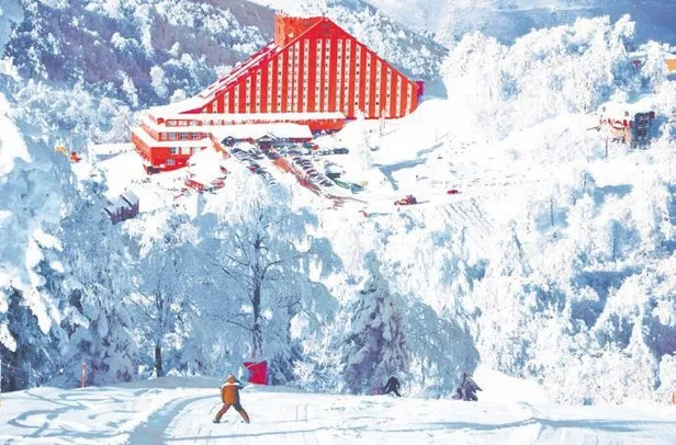 yesillikler-icin-dinlenmek-isteyenlerin-dogal-adresi-sapanca-1661898891190.jpeg Yeşillikler için dinlenmek isteyenlerin doğal adresi Sapanca-5