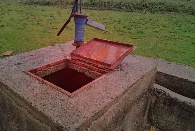 Cinayet sonrası tıraş