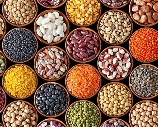 Demir eksikliğine nohut-kuru fasulye