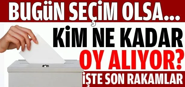 İşte son seçim anketi