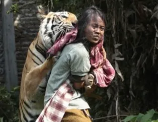 Bu fotoğraflar şaşkına çeviriyor
