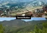Yanan 25 bin hektar alana 36 milyon kızılçam dikildi