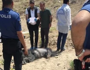 Boş arazide bu halde bulundu