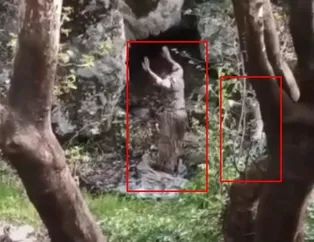 2 terörist mağara girişinde kıskıvrak yakalandı!