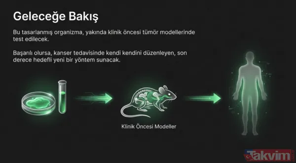 Kansere karşı mikro savaş: Bilim insanları tümörleri içten yiyen bakteri geliştirdi - 15
