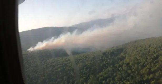 SON DAKİKA: Korkutan yangın haberleri peş peşe geldi! İzmir ve İstanbul'da orman yangınları
