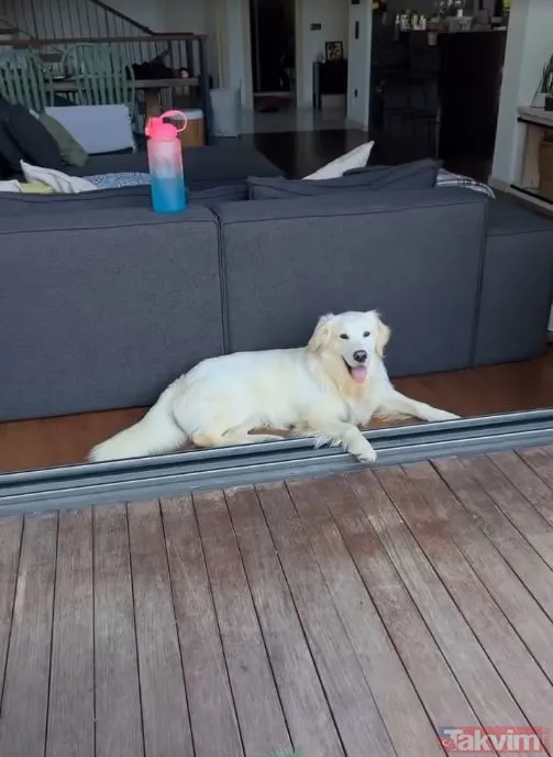 Zeynep Koçak elinde paspasla Boğaz manzaralı evini dip köşe temizledi! O anları anbean yayınladı! “Koltukları çektim her yeri...” - 48
