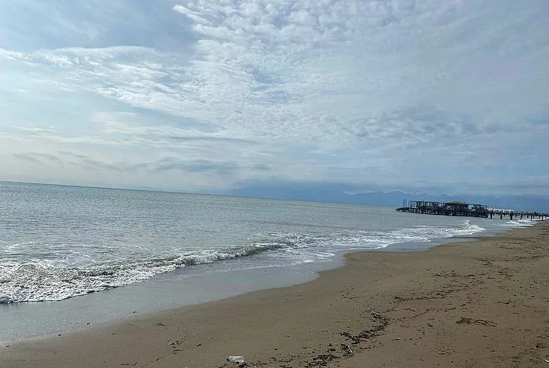 9 ceset karaya vurdu!