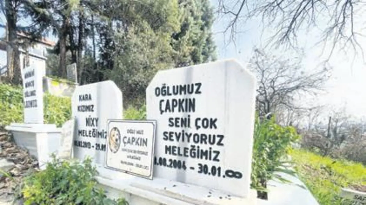 Hayvanlara özel mezar yeri merak konusu oldu!