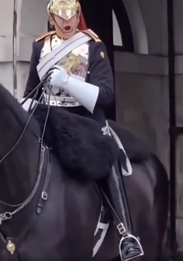 kadin-hayatinin-sokunu-yasadi-kralicenin-atina-dokunda-fircayi-yedi-1658851340410.jpeg Kadın hayatının şokunu yaşadı! Kraliçe'nin atına dokundu fırçayı yedi-3