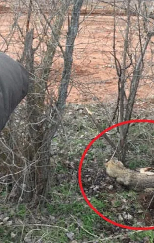 Yer: Çankırı... Kimse yanına yaklaşamadı!
