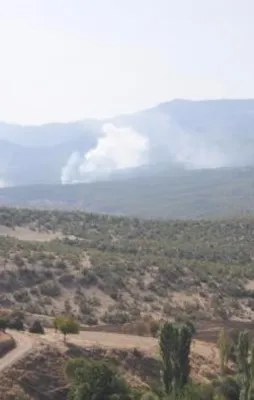 PKK'nın kış üstlenmesine büyük operasyon