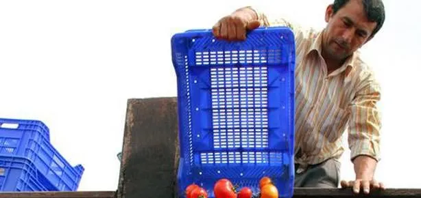 Domatesin kasası 1 lira