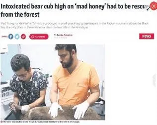 kilolarca-bal-yiyip-fenalasan-balkiz-fenomen-oldu-abd-ingiltere-ve-yunan-basininin-mansetlerine-yerlesti-1660347296529.jpeg Kilolarca bal yiyip fenalaşan Balkız fenomen oldu! ABD, İngiltere ve Yunan basınının manşetlerine yerleşti-4