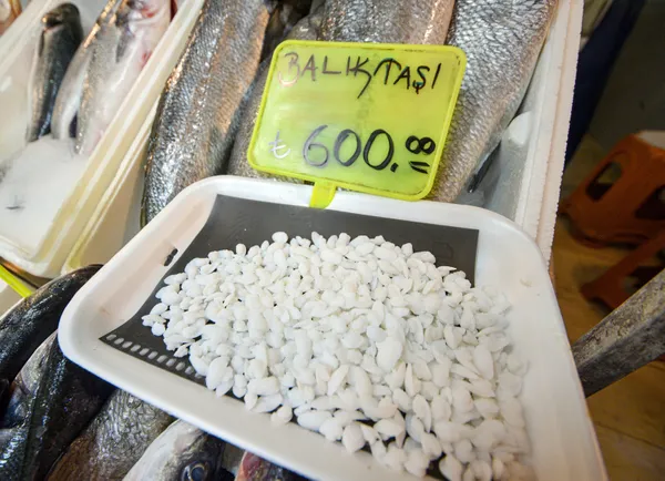 baligin-kilosu-70-lira-kafasindaki-tasin-kilosu-600-lira-1631170023730.jpg Balığın kilosu 70 lira! Kafasındaki taşın kilosu 600 lira-4