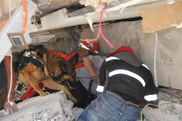 Meksika'yı deprem vurdu! Feci görüntüler geliyor...-2