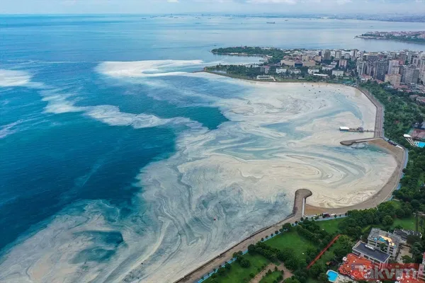 Caddebostan Sahili'nde müsilaj yoğunluğu arttı! Tabloya benzer görüntüler oluştu - 17