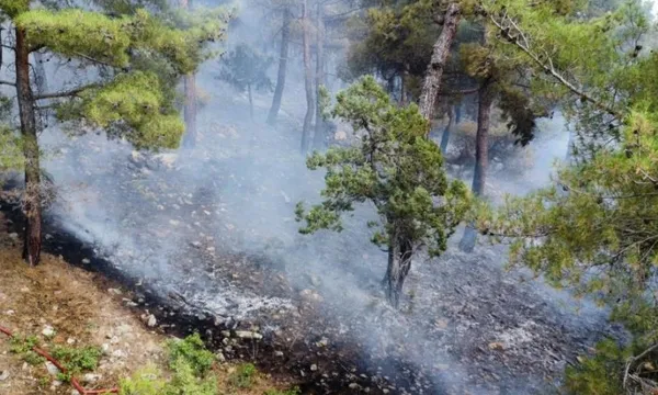 bolu-antalya-ankara-ve-eskisehirde-yangin-dort-ilde-alevlere-havadan-ve-karadan-mudahale-suruyor-1692118165311.jpeg Çok sayıda ilde yangın! Alevlere havadan ve karadan müdahale sürüyor-11