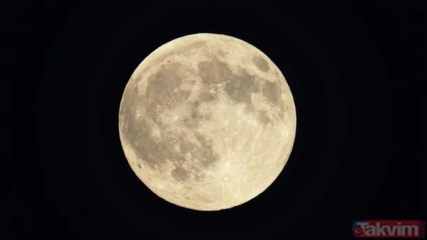 İkizler (20 Mayıs – 20 Haziran) Günlük Hayatınız Hareketleniyor; Sorumluluklar Artabilir. İş-Yaşam Dengenizi Korumak İçin Düzen Kurma İhtiyacı Öne Çıkıyor. Yeni...