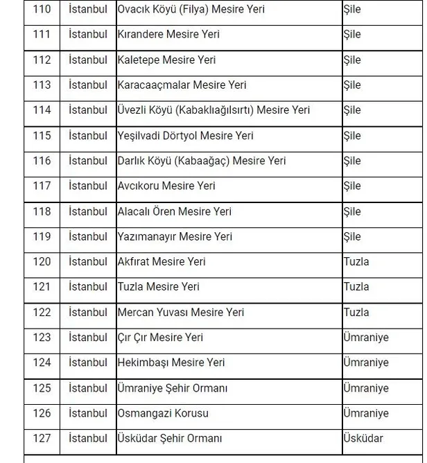 Son dakika: İstanbul'da ormanlara giriş yasağı! Vali Yerlikaya duyurdu: Ormanlara giriş yasağı 31 Temmuz'a kadar sürecek! İşte mangal yapmanın yasak olduğu yerler...-14