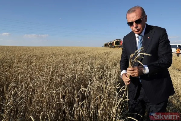 Başkan Erdoğan biçerdöverde buğday hasatı yaptı - 37