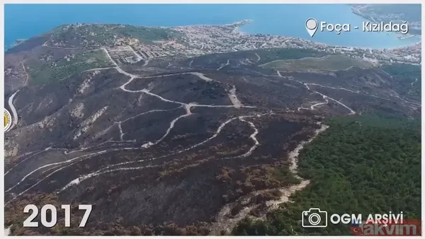 Orman Genel Müdürlüğü paylaştı! İşte yanan ormanların eski ve yeni hali: İzmir, Muğla, Çanakkale ve Balıkesir... - 3