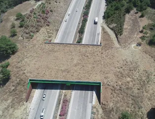 İzmir-Çeşme Otoyolu'nda yaban hayvanlarını korumak için planlanan "ekolojik köprü" tamamlandı