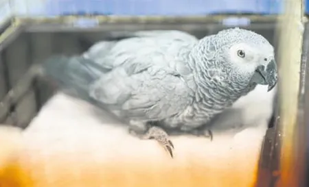 MasterChef yarışmasına katılan Murat Özdemir'e tepkiler çığ gibi büyüdü-1