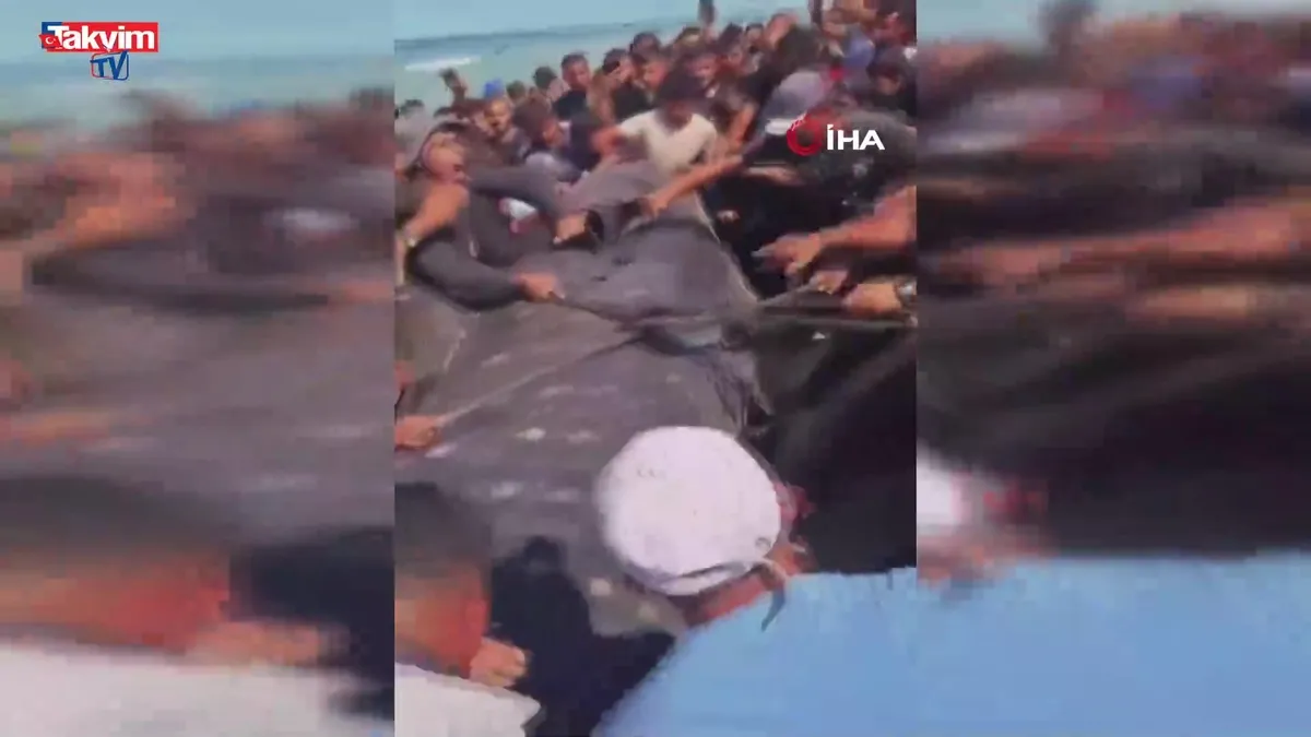 Gazze'de yaklaşık 10 metre uzunluğundaki dev balık karaya vurdu