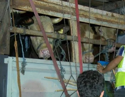 Ekipler tek tek kontrol etti! İstanbul’a girdiler