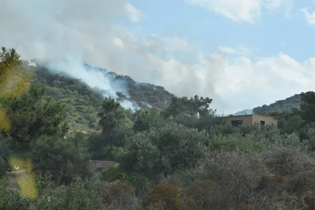 Son dakika haberi: Bodrum'da orman yangını-4