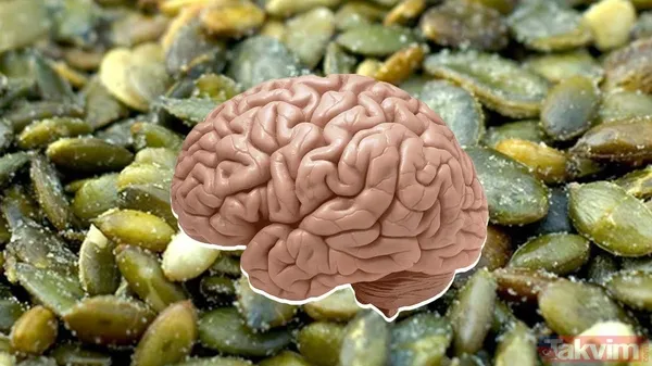 Bilim insanları açıkladı böyle masum görünüyor ama beyni yiyip bitiriyor! Beyni günbegün tüketiyor meğer... - 1