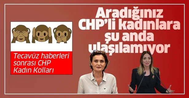 CHP Kadın Kolları 3 maymunu oynuyor