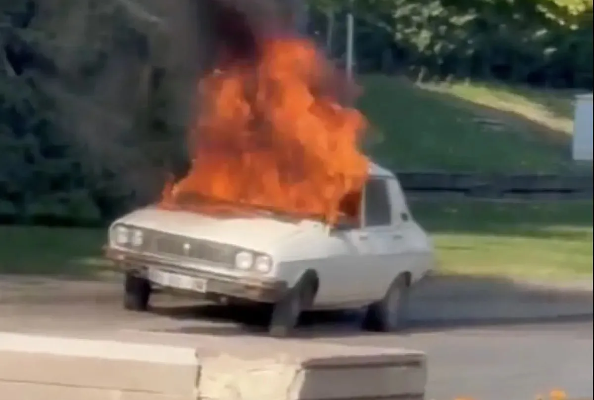 Toros yaktı perde arkası ortaya çıktı!