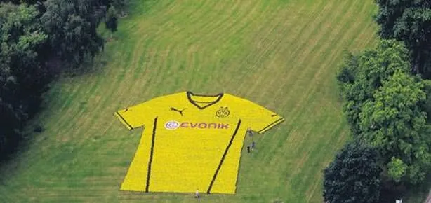 Tam 80 bin 645 çiçekle forma tanıtımı