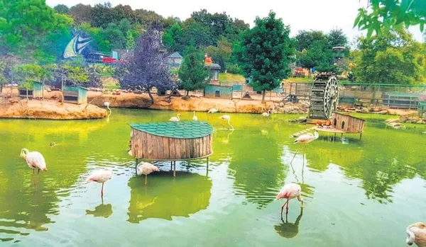 Hafta sonu İstanbul'a yakın mesafede doğanın tadını çıkarabileceğiniz yerler-4