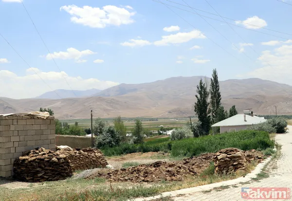 Mahalleyi bit pire sivrisinek bastı! Vatandaşlar geceleri uyuyamıyor - 15