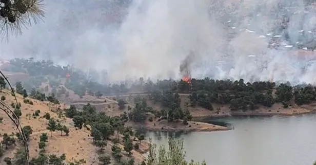 Adıyaman’da orman yangını! Ekipler bölgede