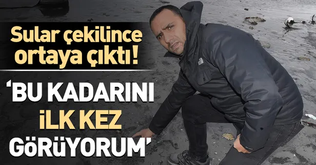 Tekirdağ'da deniz adaları kıyıya vurdu