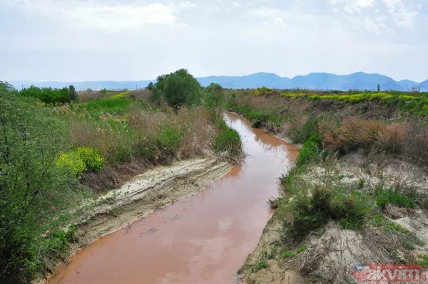 Manisa'da Nif Çayı'nın rengi kırmızıya döndü! İşte nedeni: iki noktadan kamyonla atık döküldü - 12