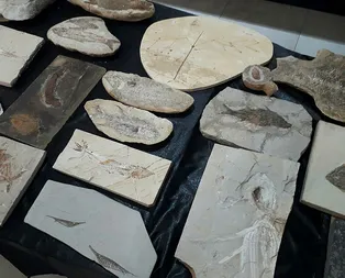 Ankarada Adnan Oktar suç örgütüne kaçak fosil operasyonu