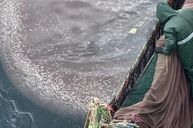 5 ton küçük çıktı! Hepsini geri bıraktı